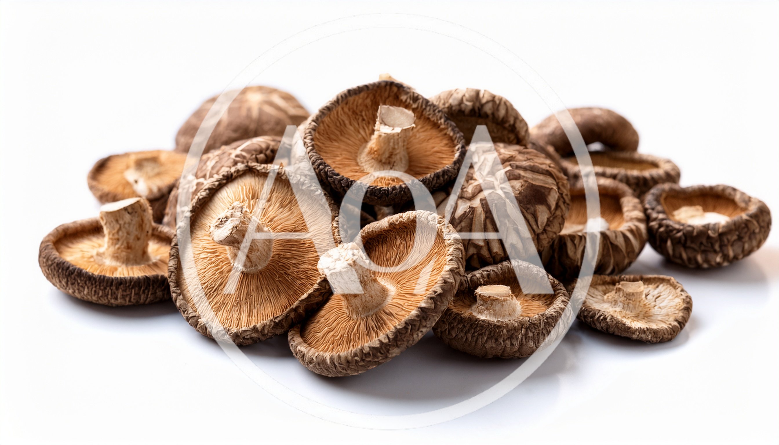 Dried Shiitake Mushrooms Pile On White Background