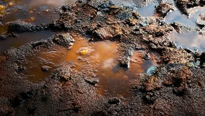 Muddy Ground With Reflective Puddles And Texture