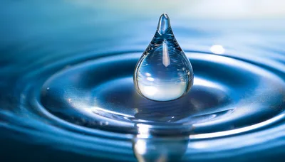 Single Water Drop Impacting Liquid Surface