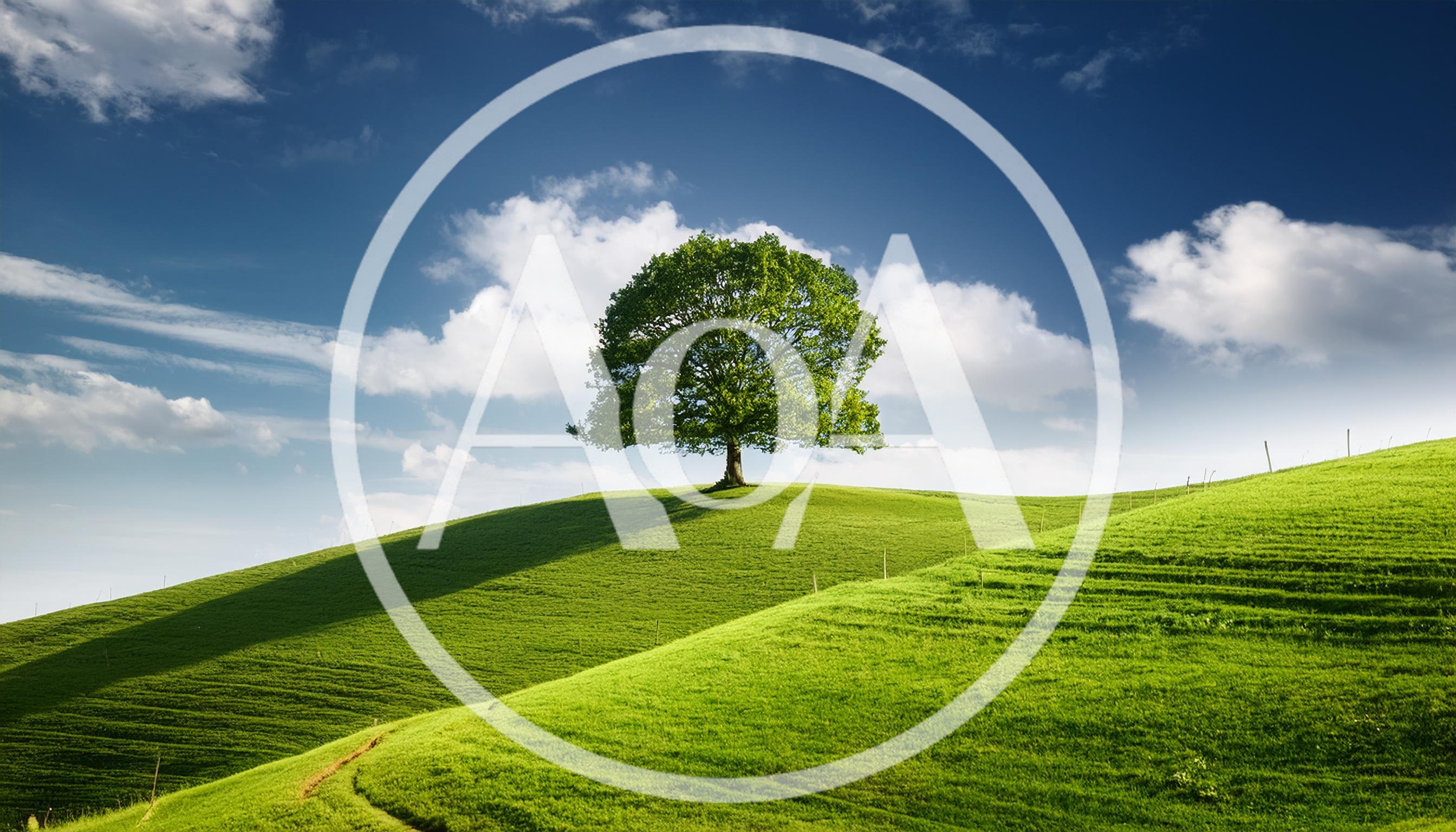 Solitary Oak Tree Standing On A Rolling Green Hill