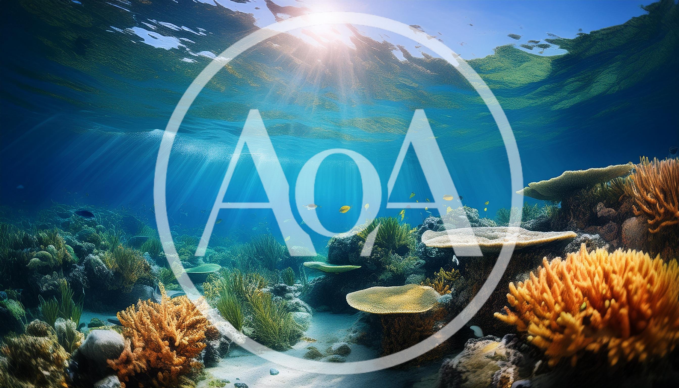 Vibrant Coral Reef Ecosystem Under Sunlit Ocean Surface
