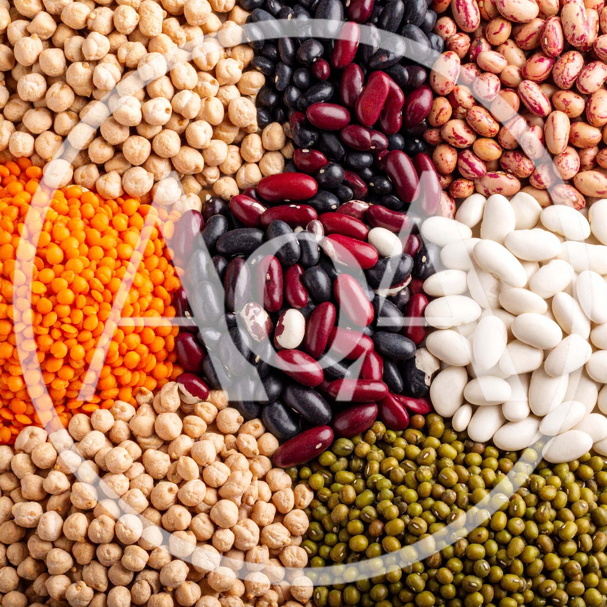 Assorted Dried Legumes and Beans Top View