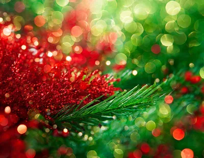 Festive Christmas Tree Branch With Red Glitter Decorations