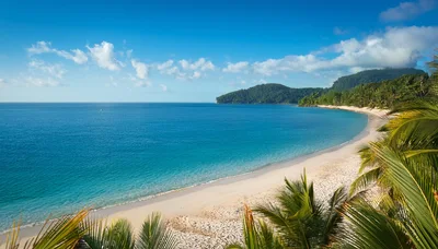 Tropical Beach Landscape With Palm Trees And Blue Ocean