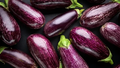 Fresh Purple Striped Eggplants on Dark Background