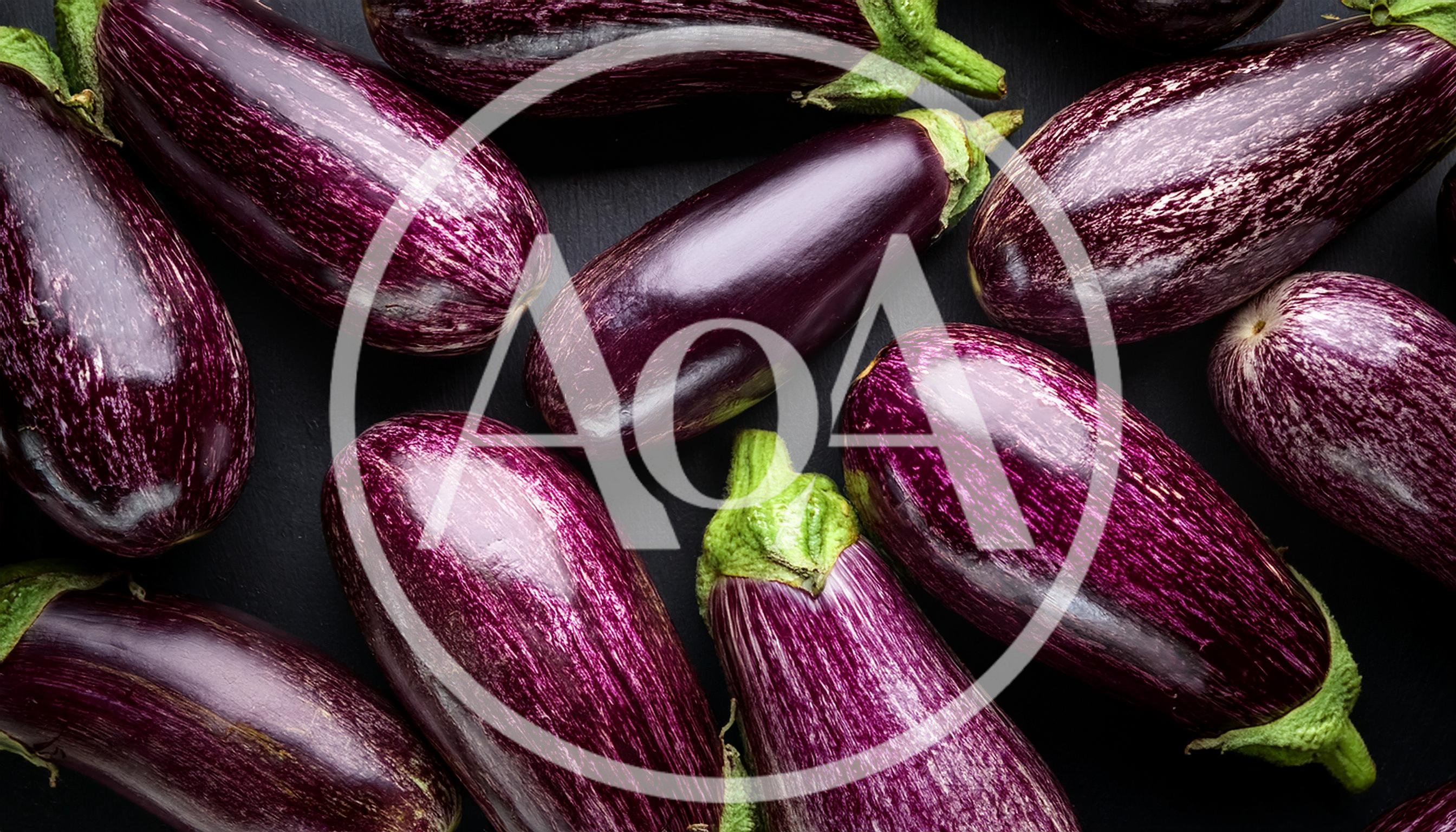 Fresh Purple Striped Eggplants on Dark Background