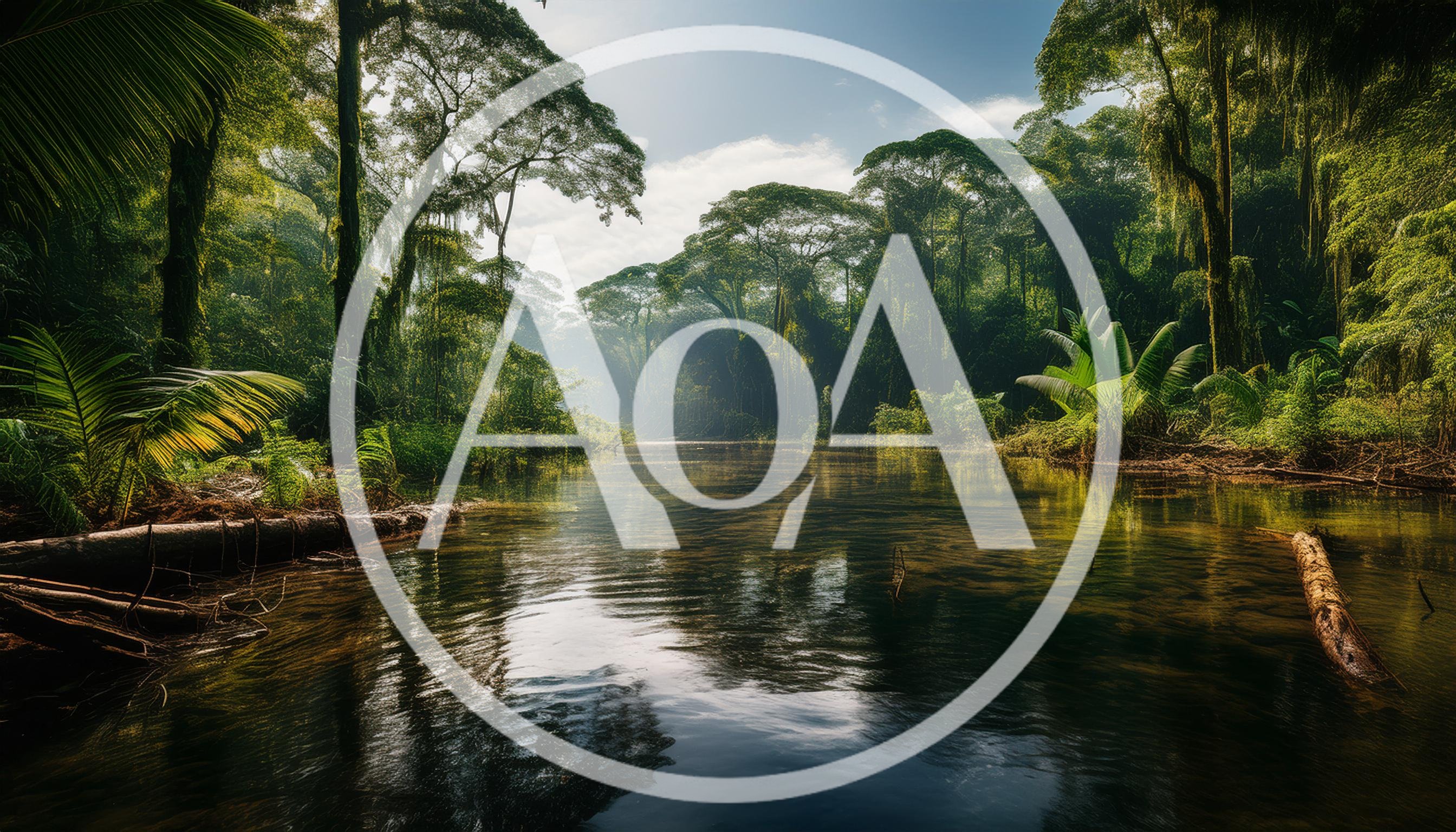 Serene River Flowing Through A Lush Tropical Rainforest