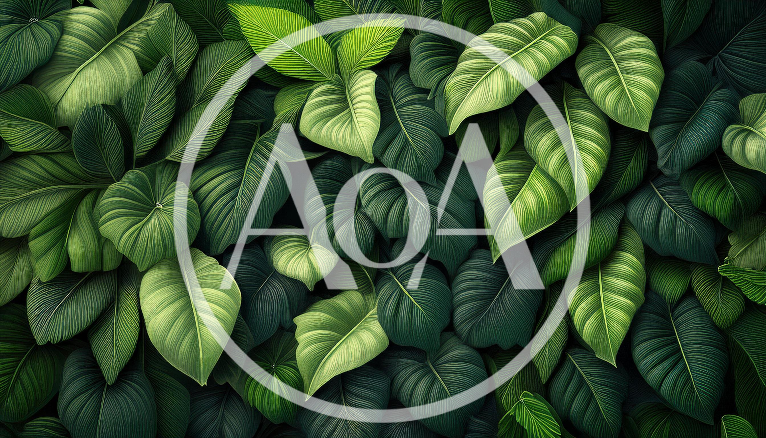 Lush Tropical Green Foliage Background