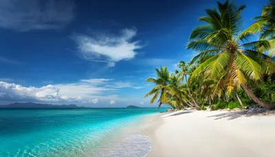 Tropical Beach With Palm Trees And Turquoise Water