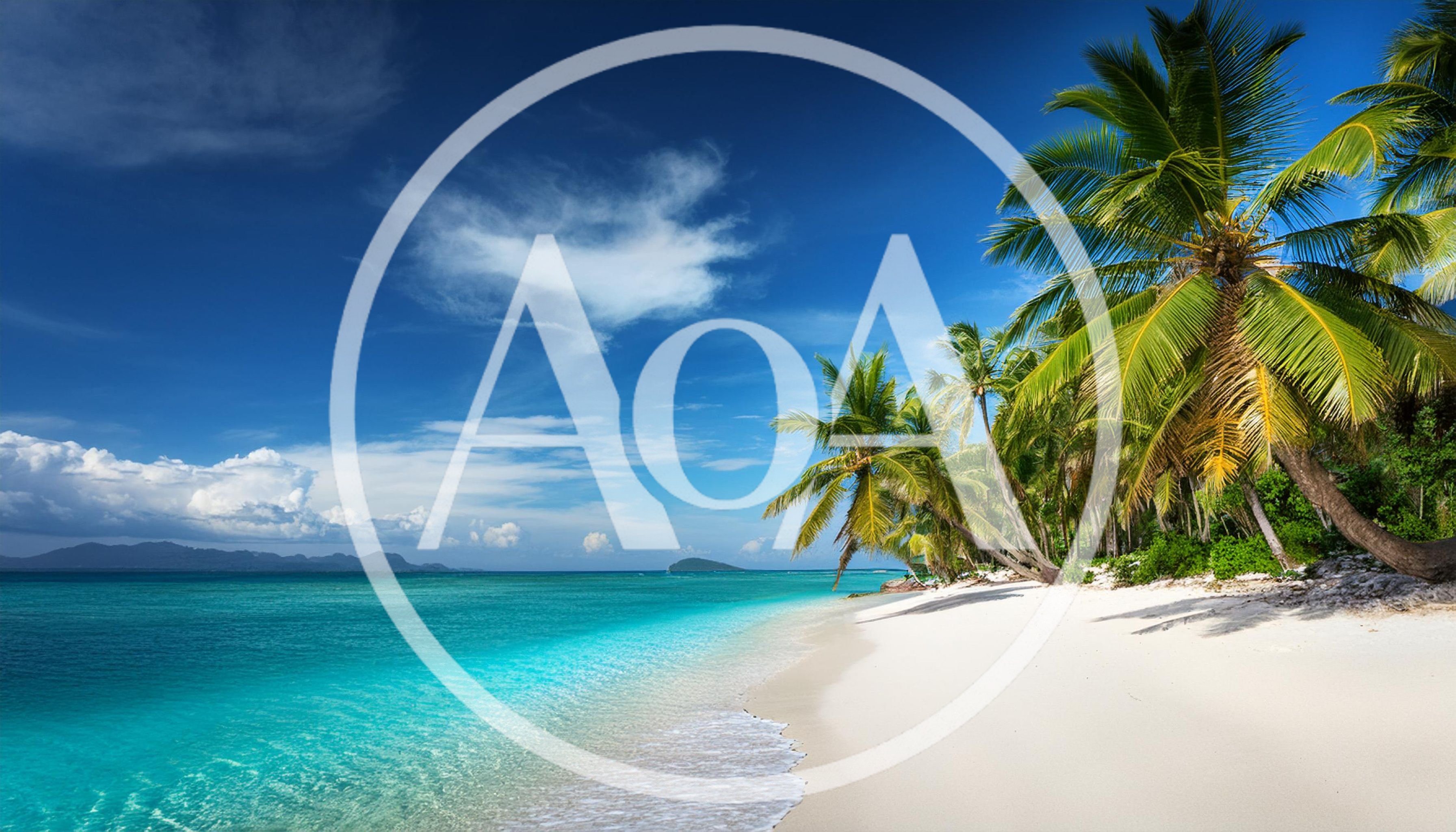 Tropical Beach With Palm Trees And Turquoise Water
