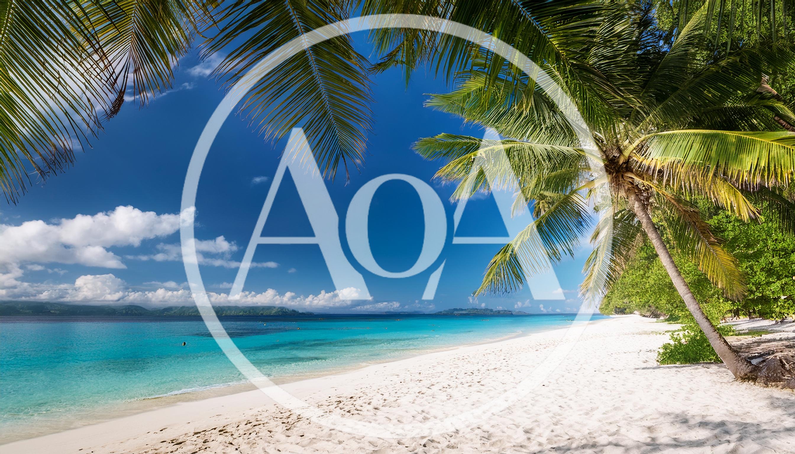 Tropical Beach With White Sand And Palm Trees