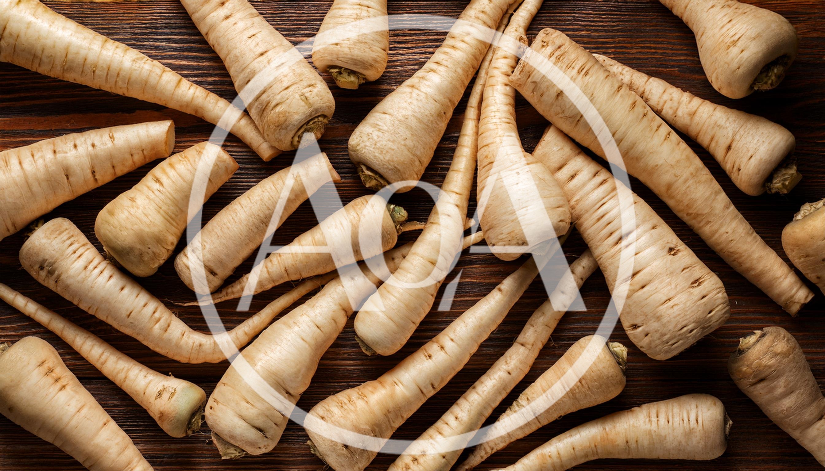 Fresh Raw Parsnips Arranged On Dark Wooden Background