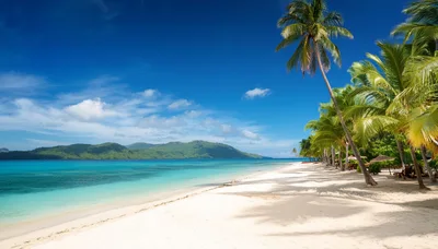 Tropical Beach With Palm Trees And Turquoise Water