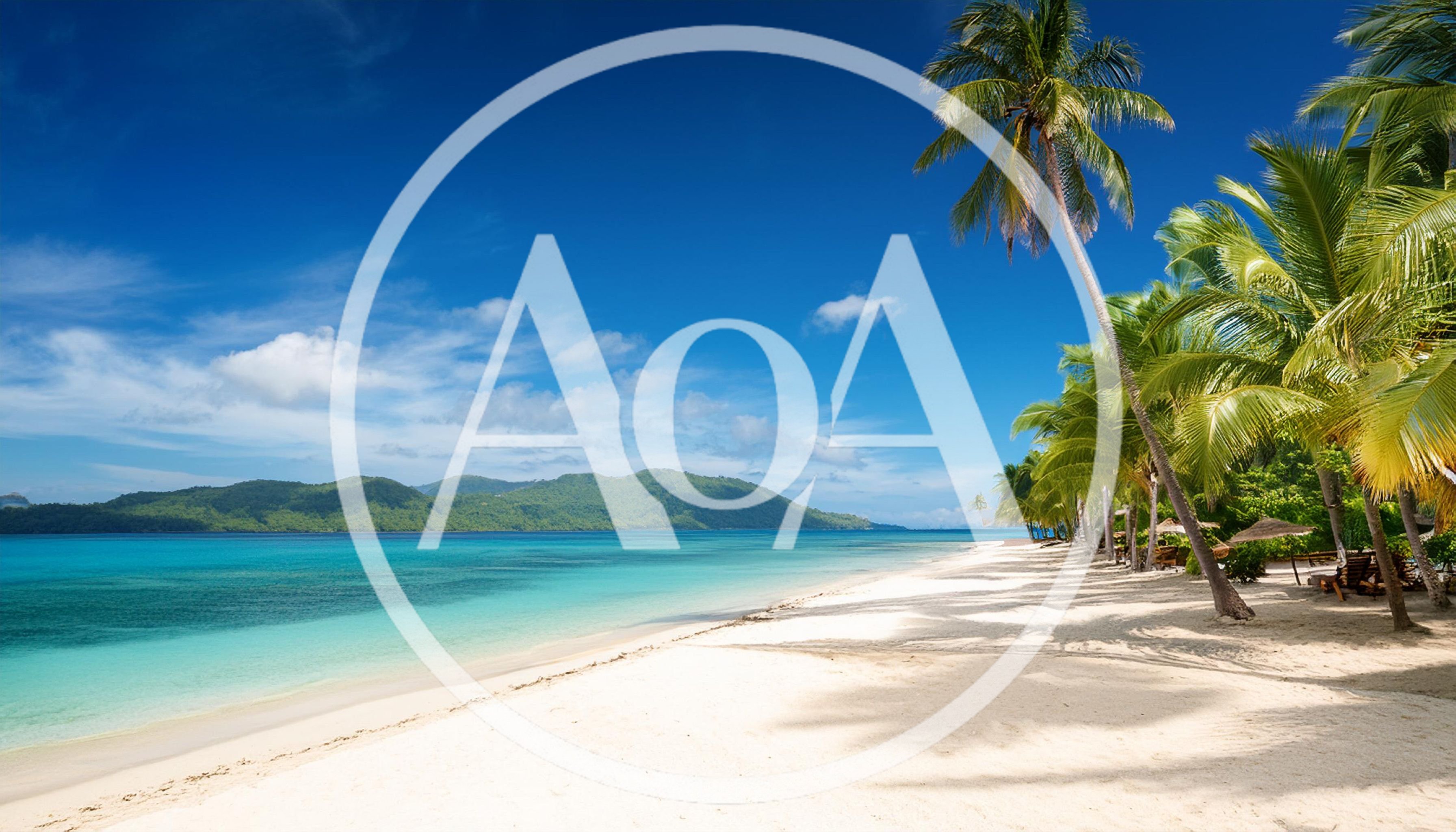 Tropical Beach With Palm Trees And Turquoise Water