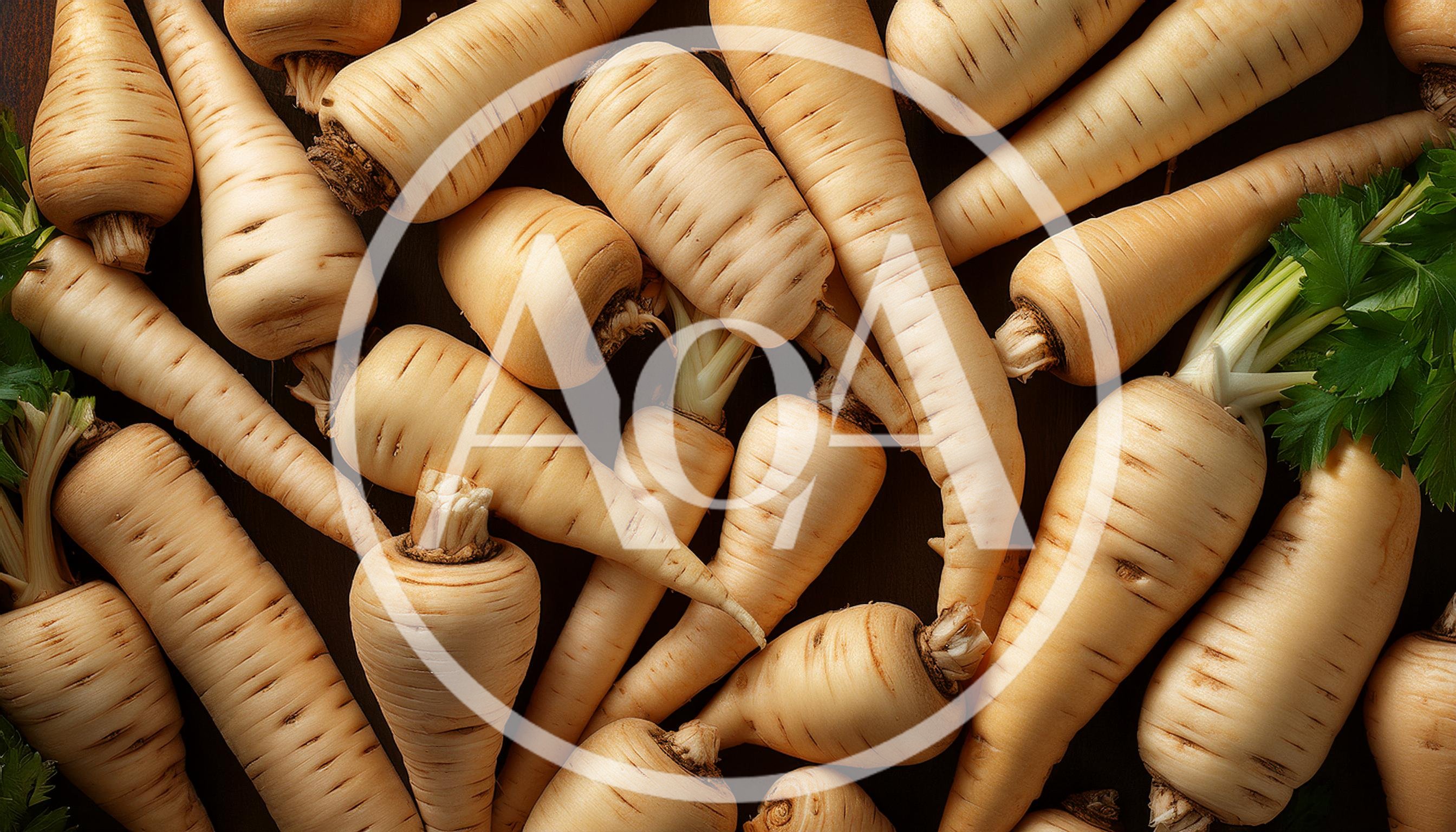 Fresh Raw Parsnips Arranged On Dark Background