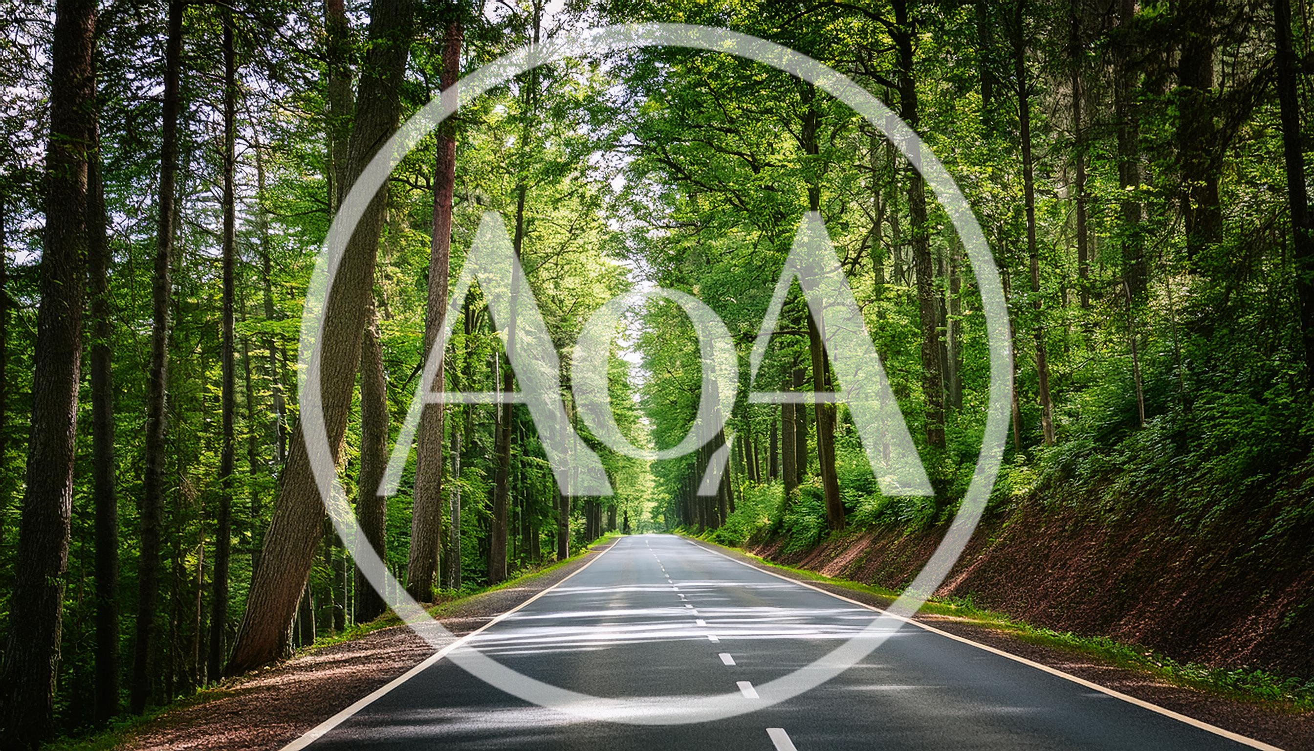 Empty Asphalt Road Through A Lush Green Forest