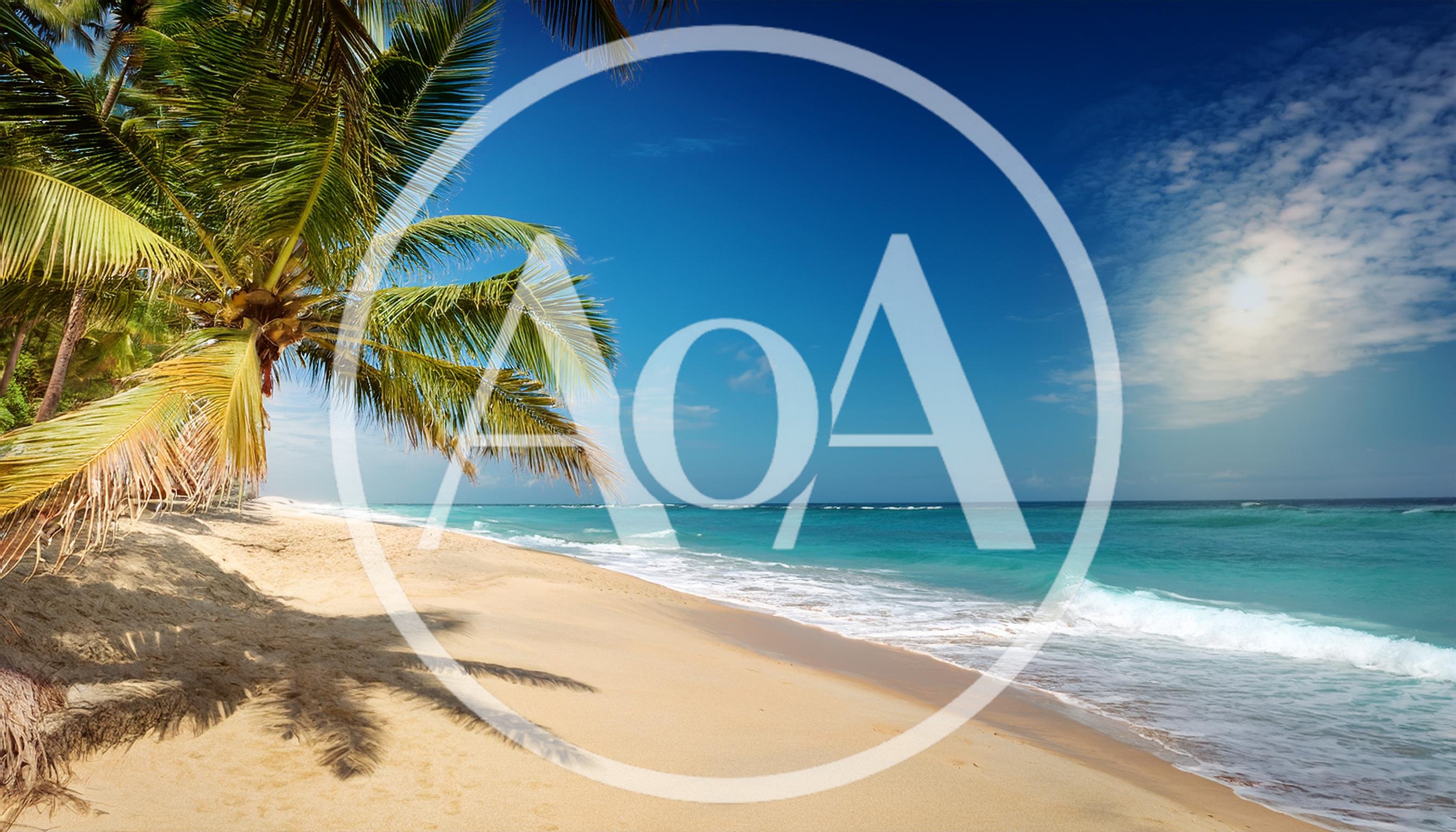 Tropical Beach Scene With Palm Tree And Turquoise Ocean