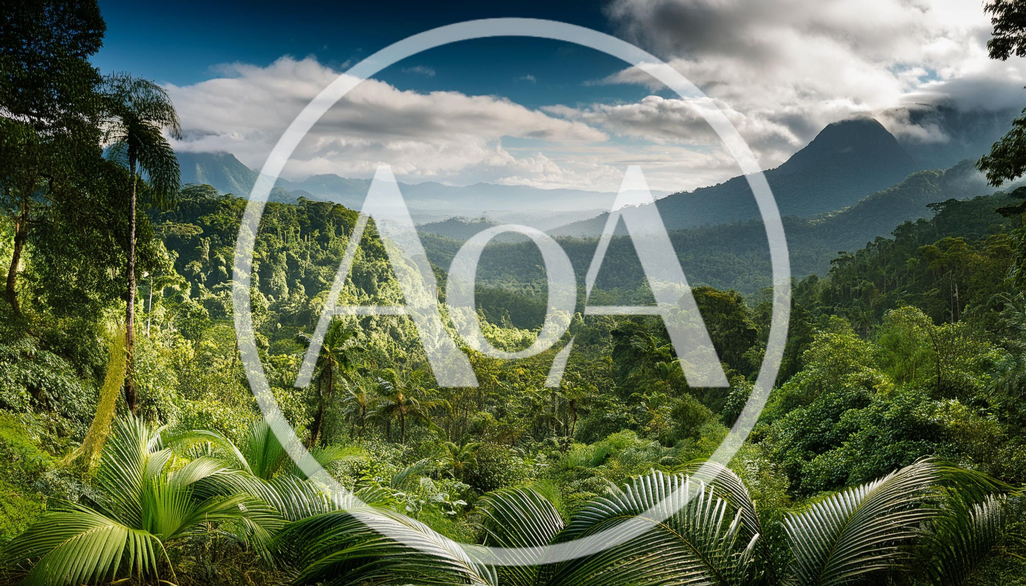 Lush Tropical Rainforest Valley Under Dramatic Cloudy Sky
