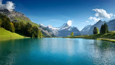 Bachalpsee Lake With Wetterhorn Mountain Peaks In Switzerland