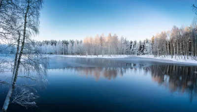 Winter Landscape With Frozen Lake And Birch Forest