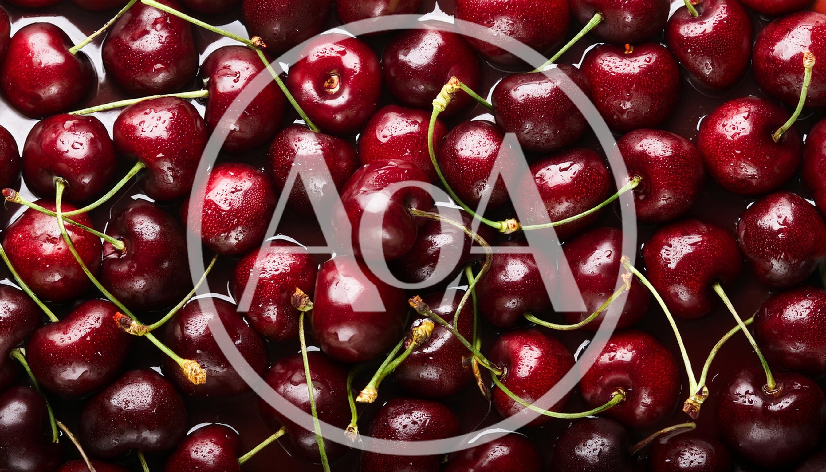 Fresh Ripe Red Cherries Background