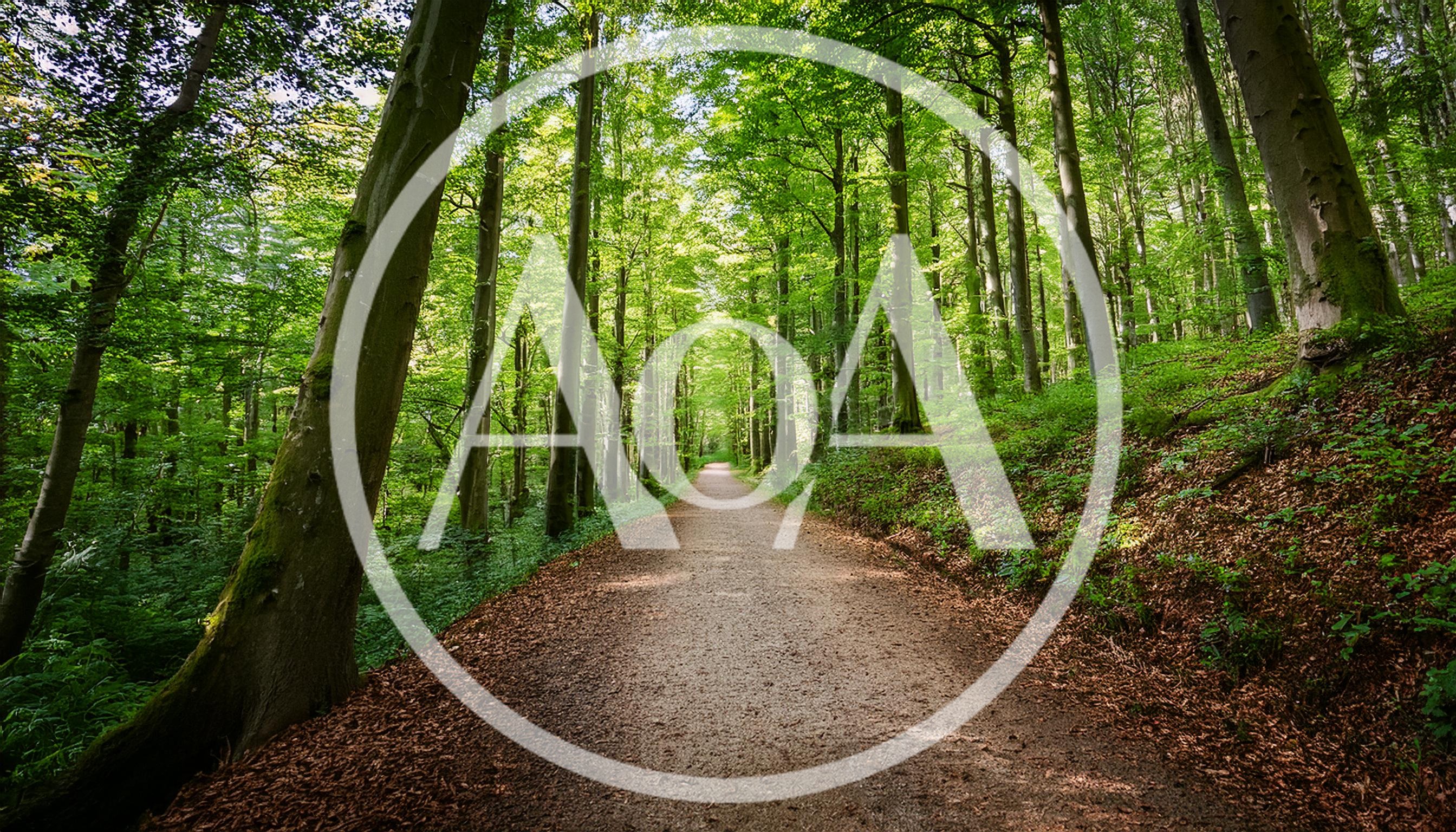 Dirt Path Through A Lush Green Forest