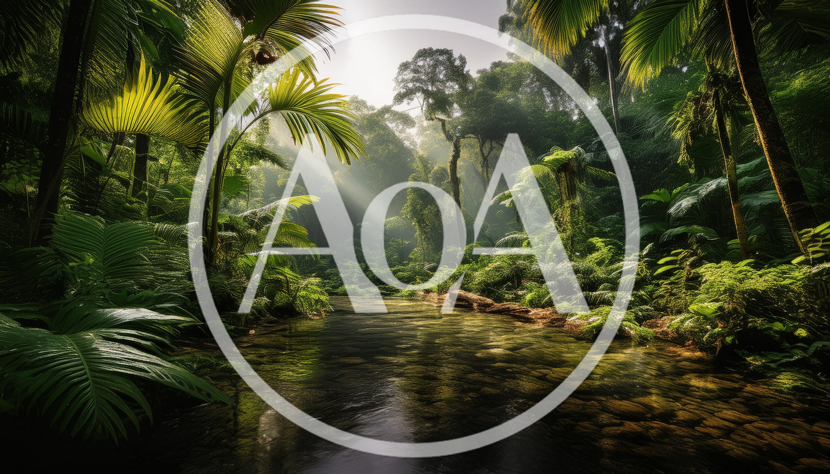 Sunlit Tropical Rainforest River Scene