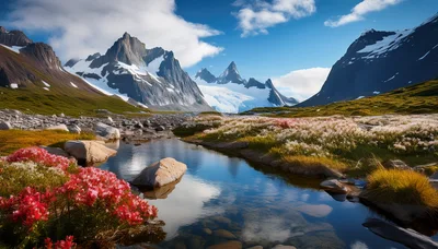 Scenic Alpine Landscape With Glacial Lake And Wildflowers