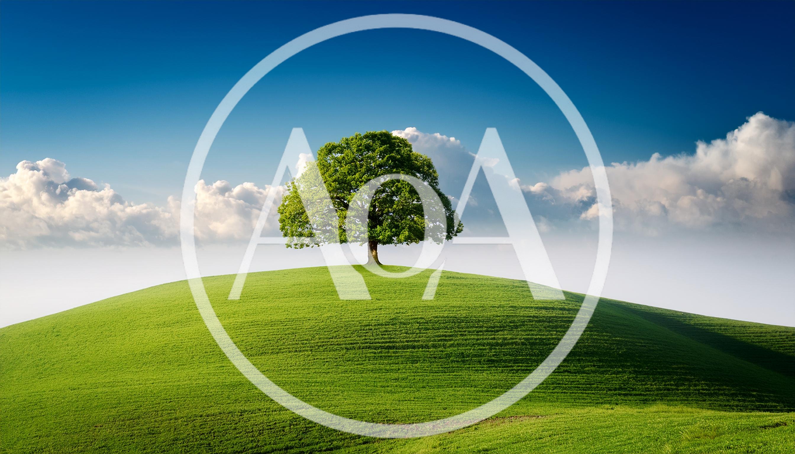 Solitary Oak Tree On A Rolling Green Hill
