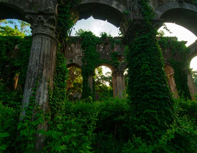 Overgrown Ancient Stone Ruins With Corinthian Columns