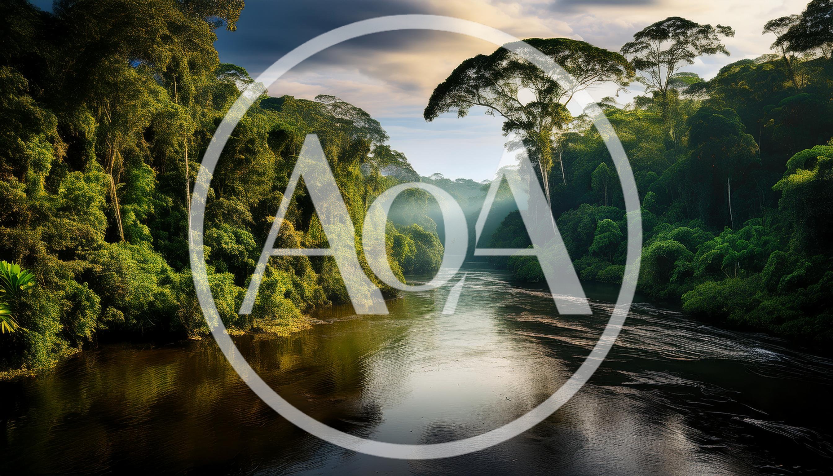 Serene River Flowing Through Lush Tropical Rainforest