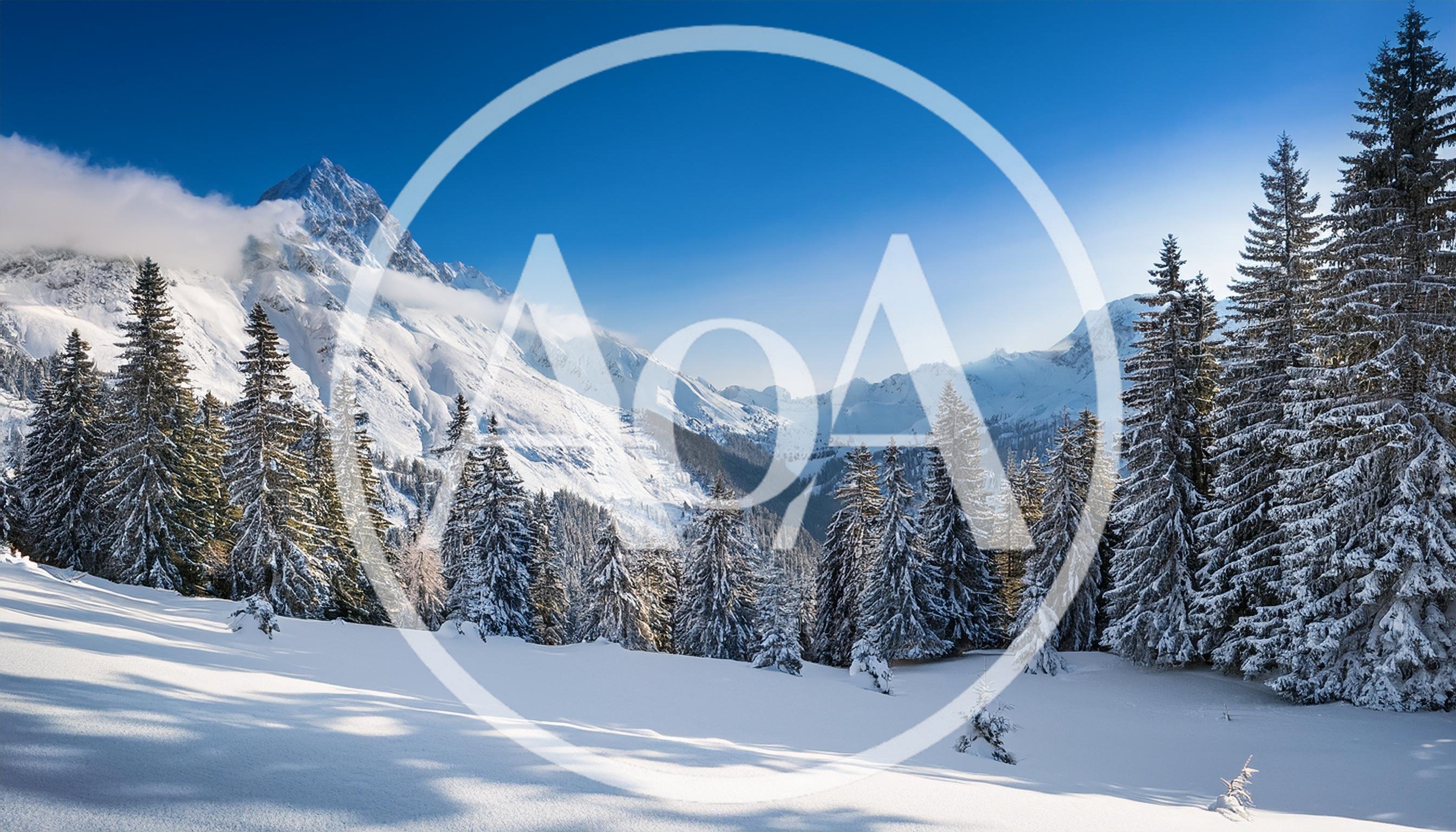 Snow Covered Alpine Forest With Majestic Mountain Peak