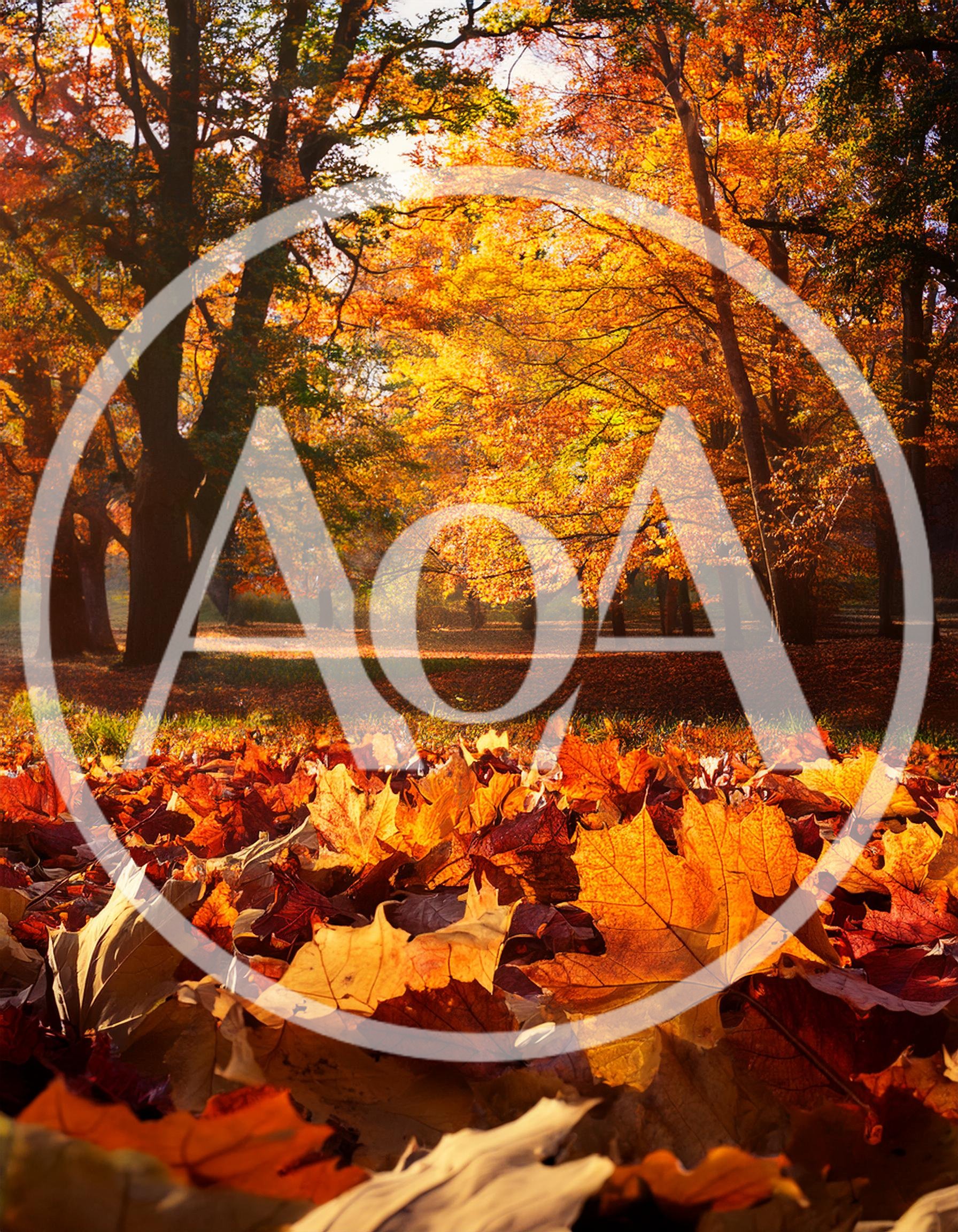 Golden Autumn Leaves Covering The Forest Floor