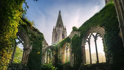 Ruined Gothic Church With Ivy Covered Stone Walls