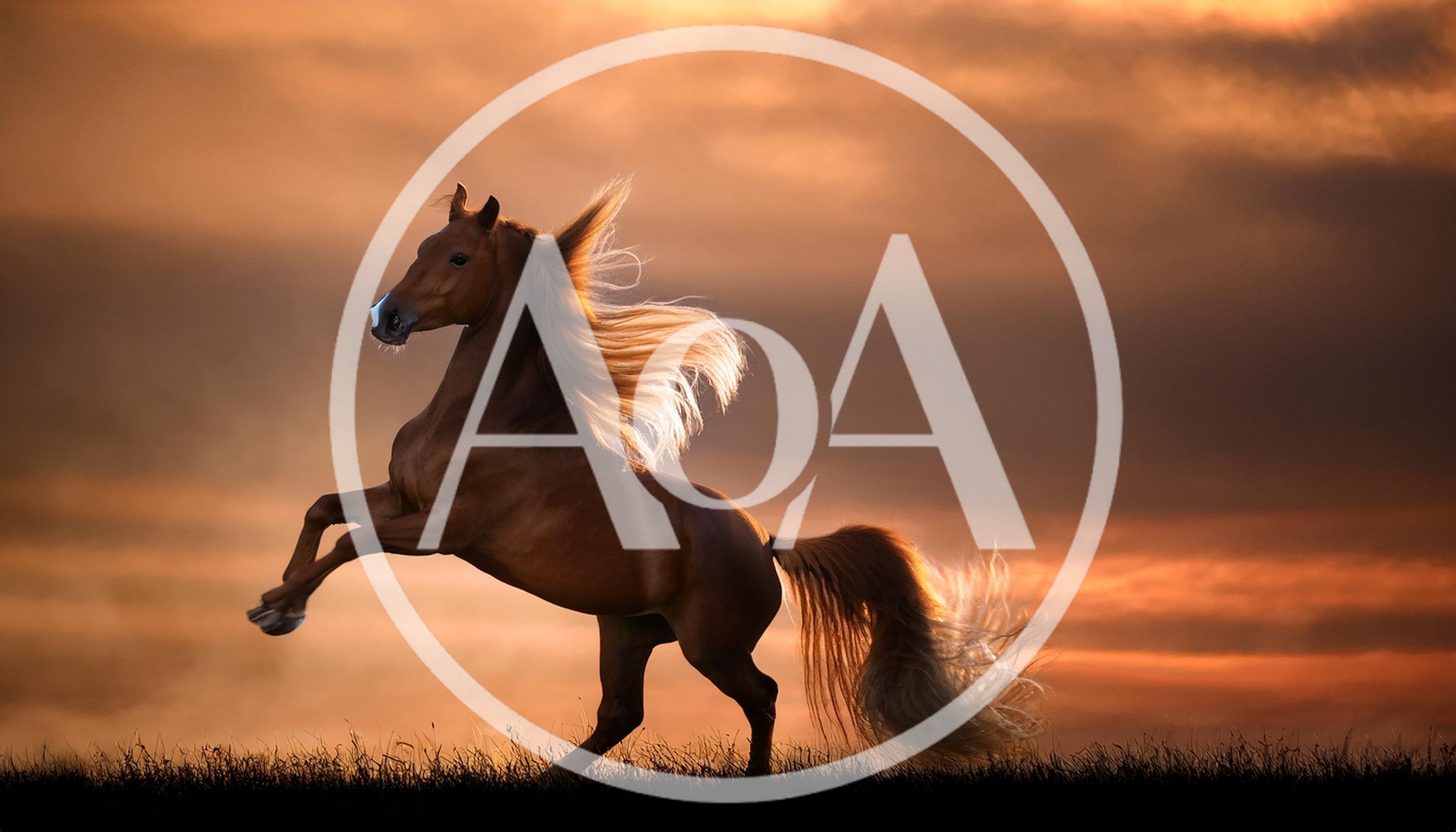 Majestic Chestnut Horse Rearing Against A Golden Sunset