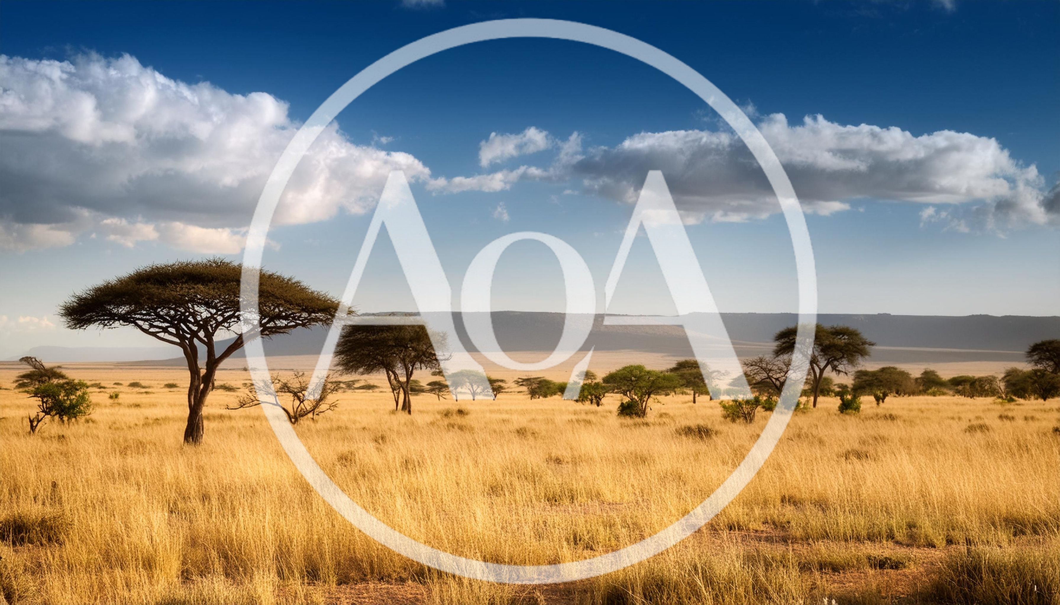 Acacia Trees In The Serengeti Savanna Grassland