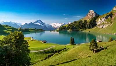 Bachalpsee Lake With Snow Capped Swiss Alps Mountains