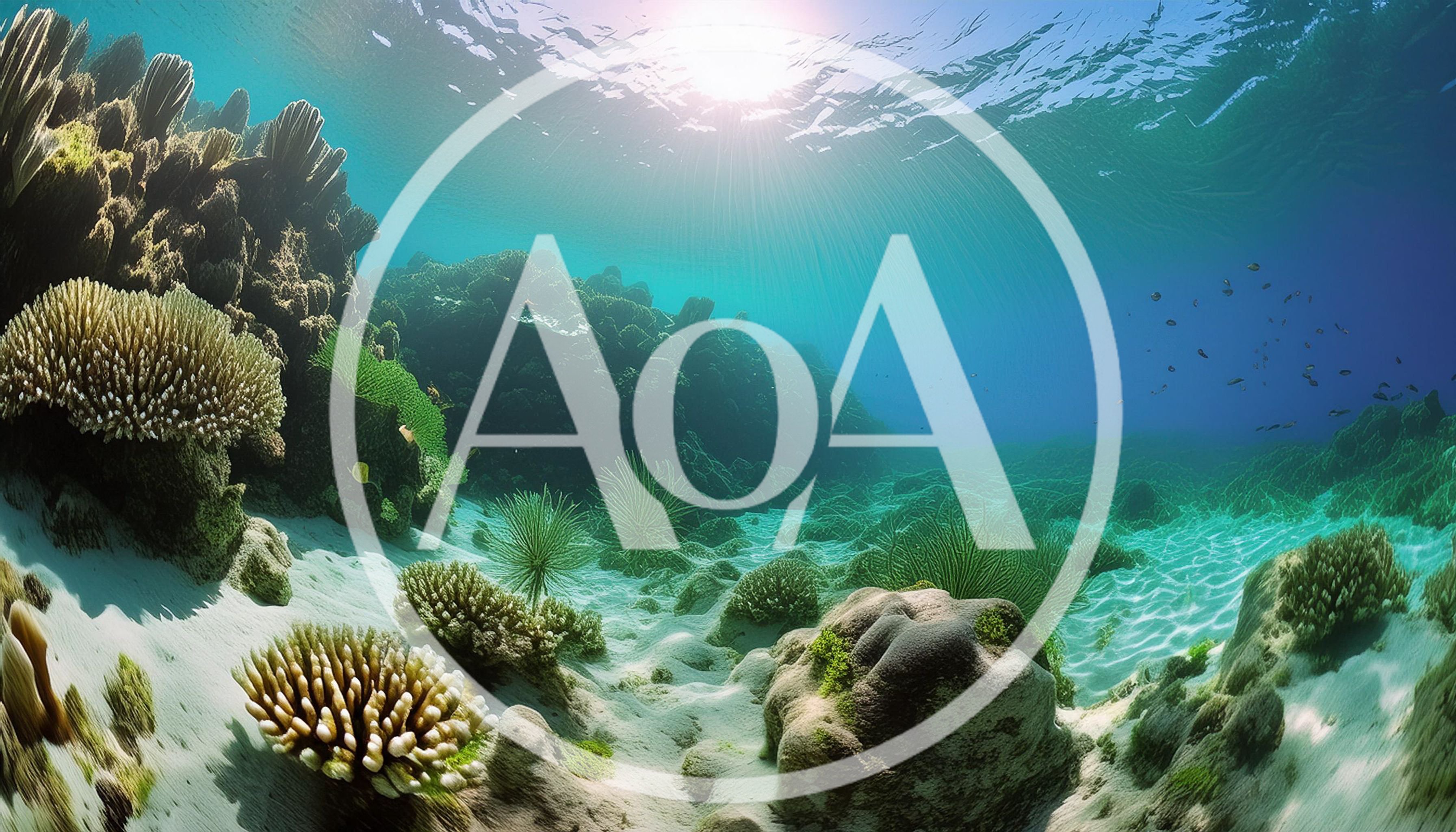 Vibrant Coral Reef Ecosystem Underwater Scene