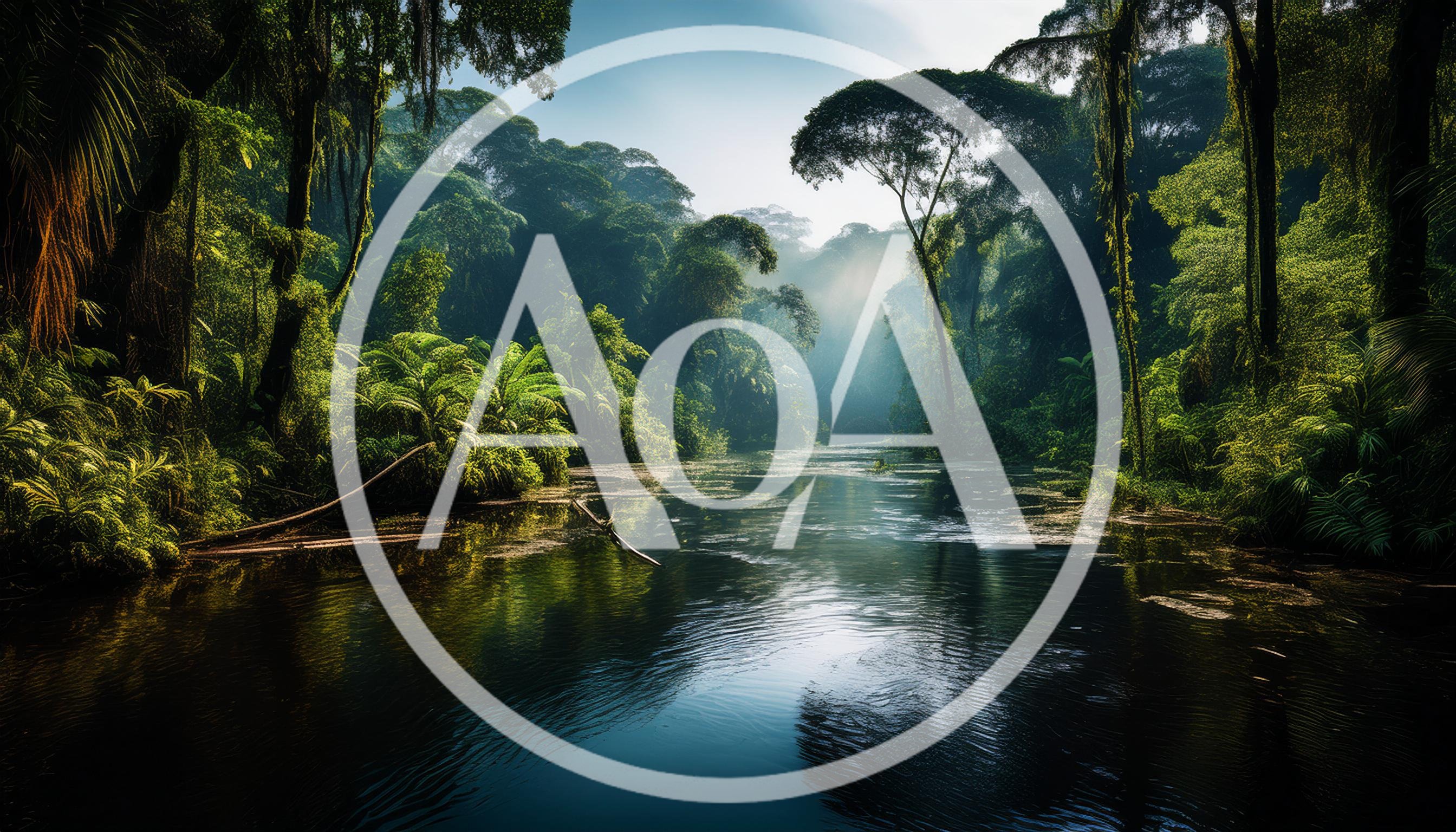 Serene River Flowing Through A Lush Tropical Rainforest