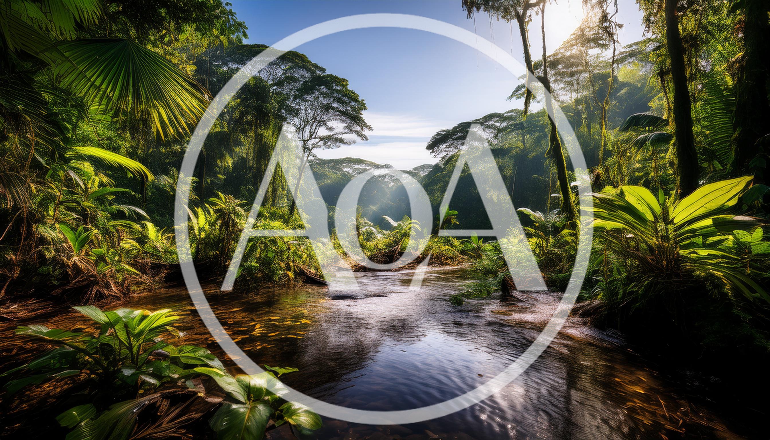 Serene Tropical River Flowing Through Lush Rainforest