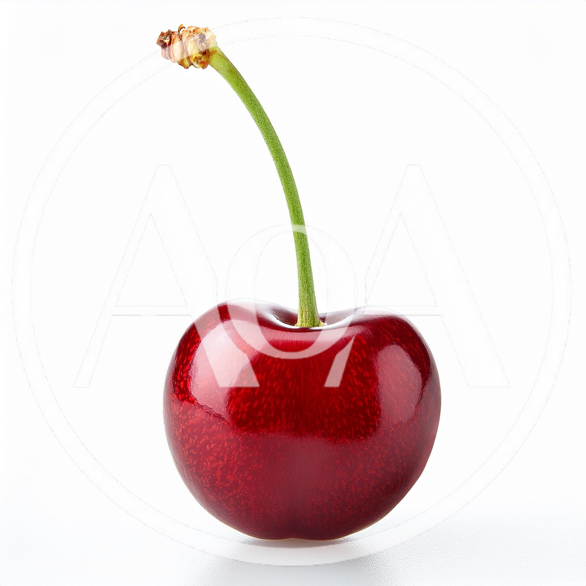 Single Fresh Red Cherry With Stem