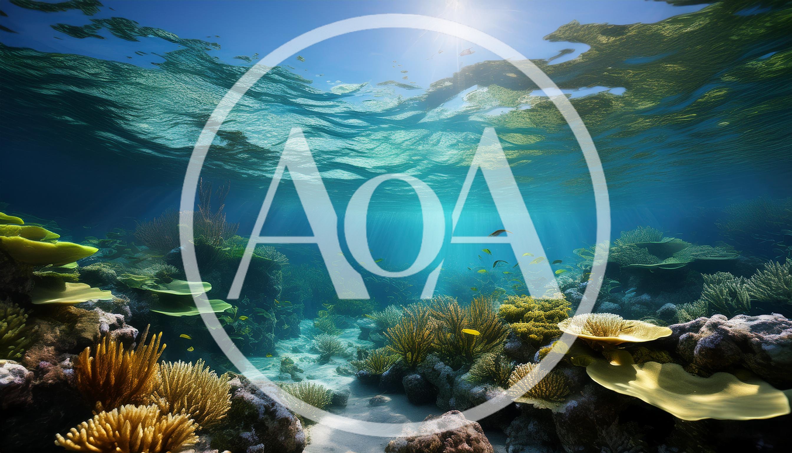 Vibrant Coral Reef Ecosystem Under Tropical Sunlight