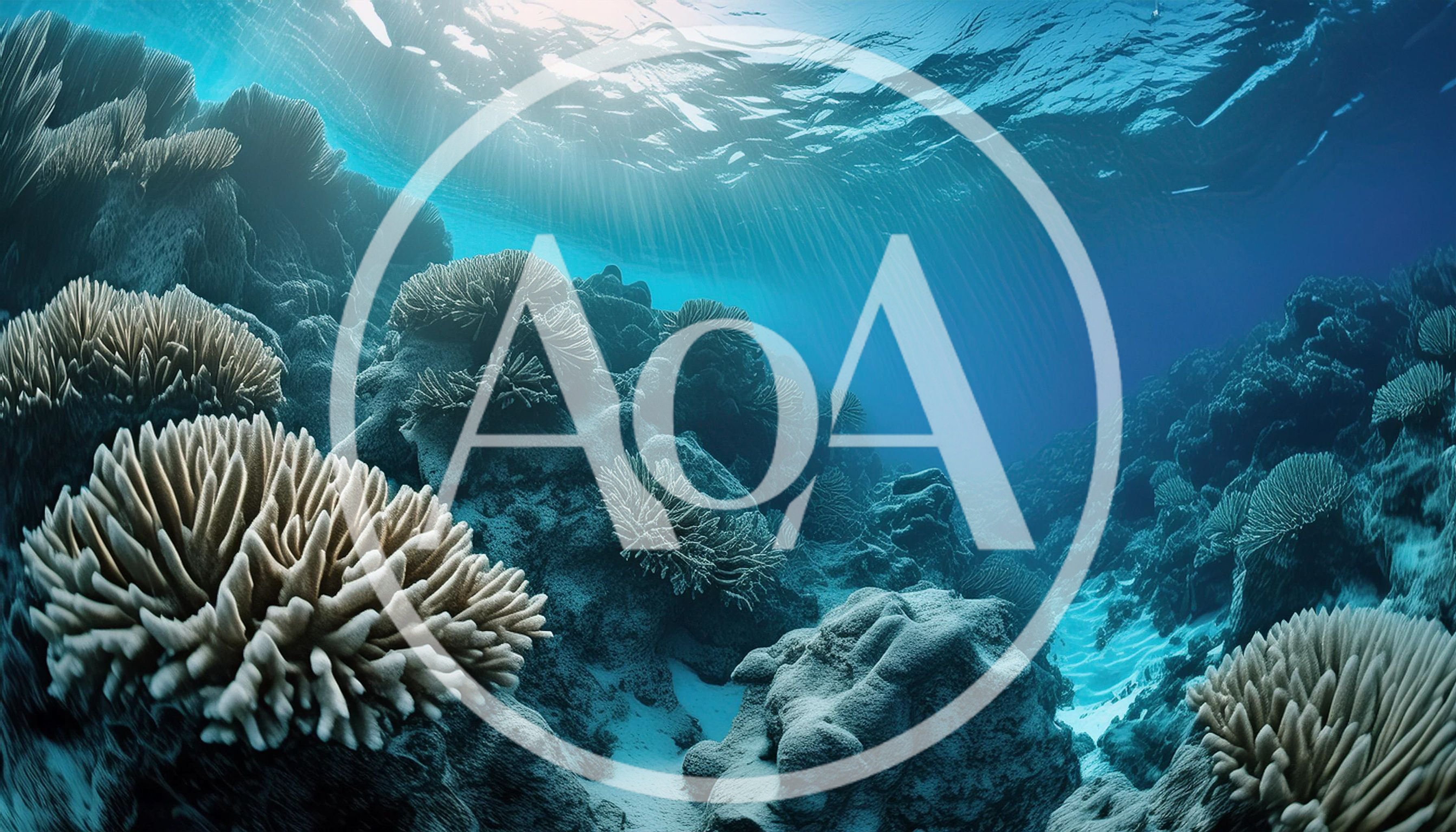 Underwater View Of Vibrant Coral Reef Ecosystem