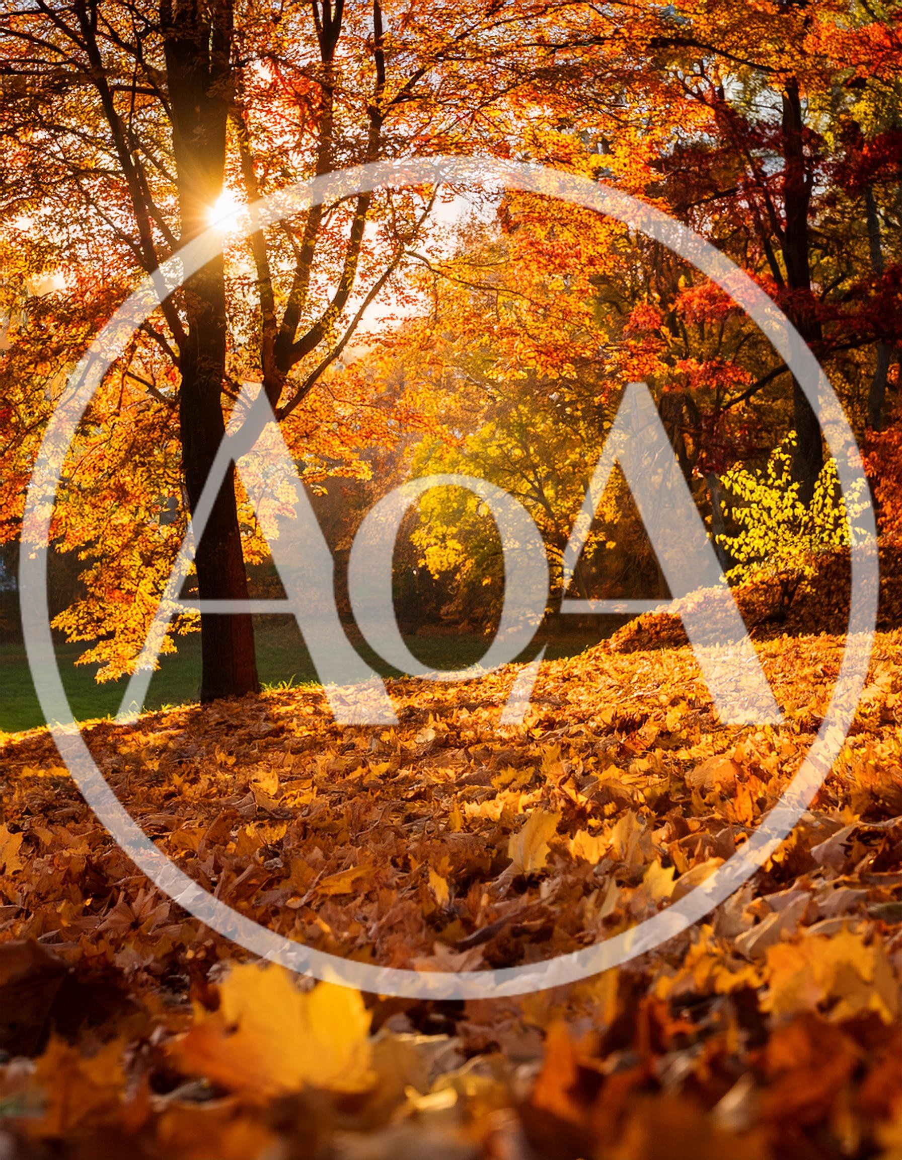 Golden Autumn Forest Landscape With Sunbeams