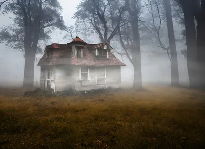 Abandoned House In A Foggy Forest