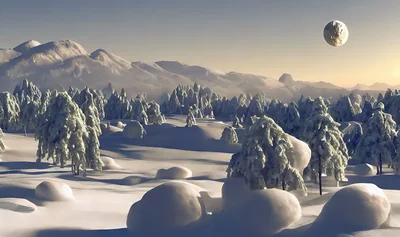Snow Covered Pine Forest Landscape Under A Full Moon