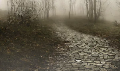 Cobblestone Path Through A Misty Forest