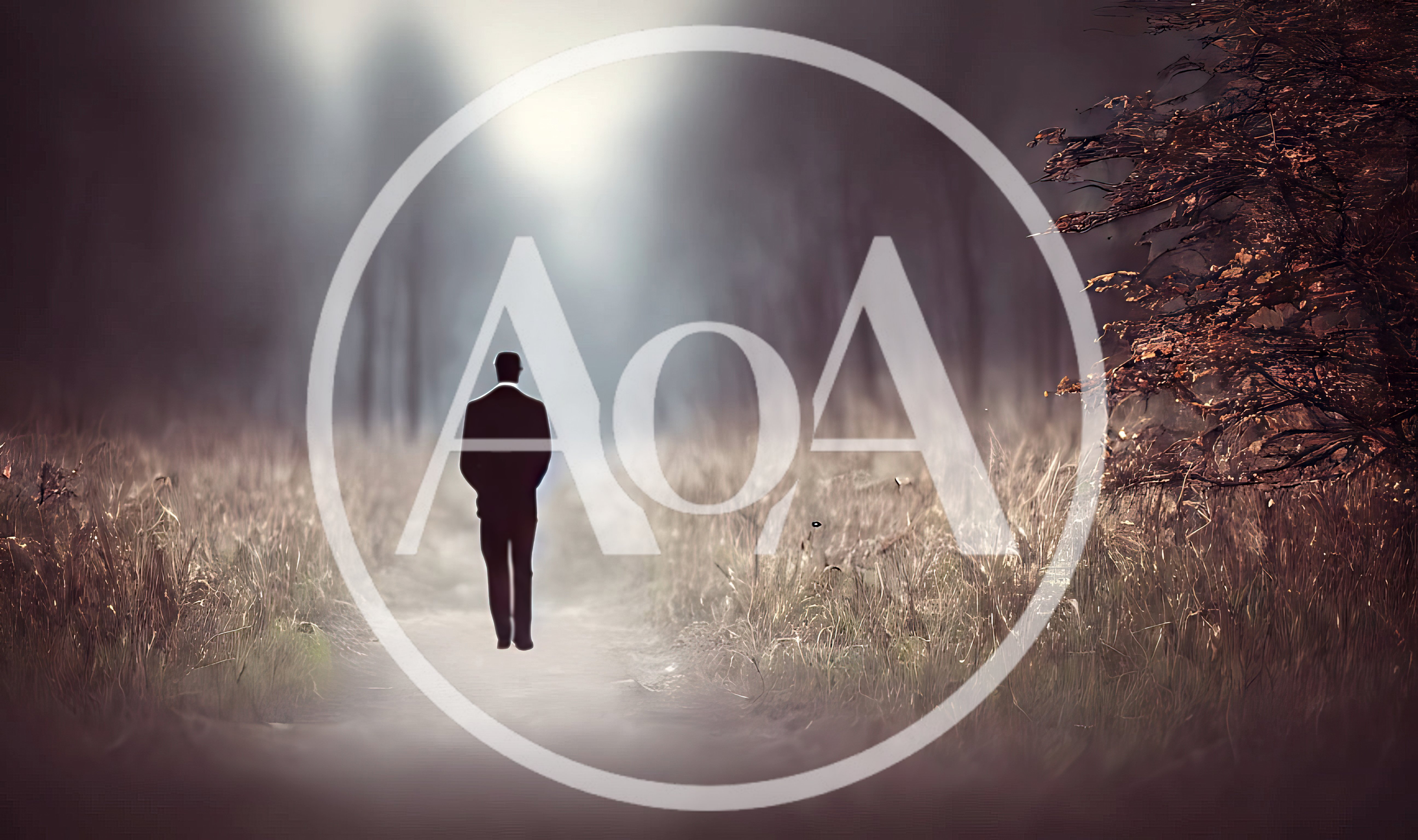 Silhouette Of A Man Walking On A Misty Path