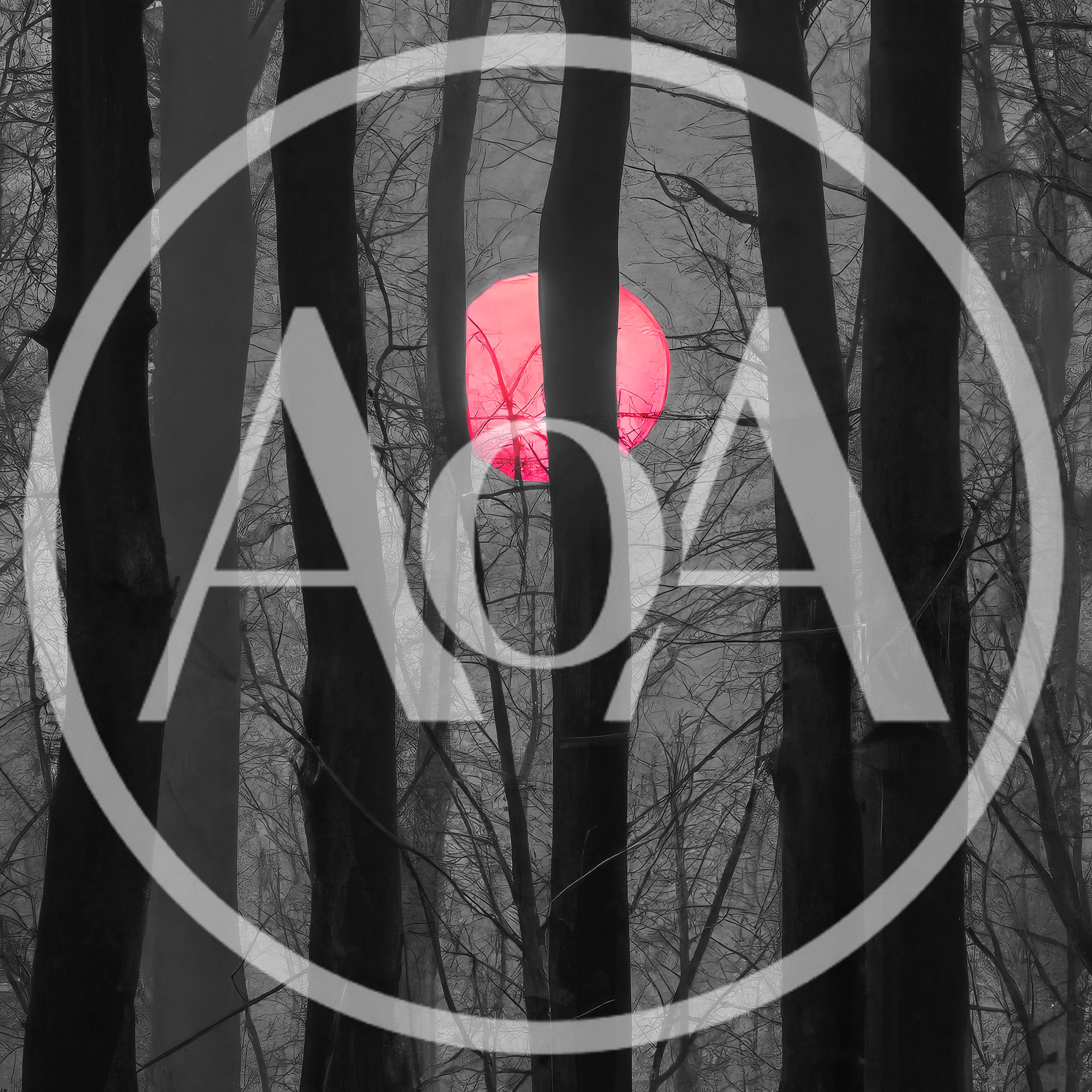 Red Moon Glowing Through Dark Forest Trees