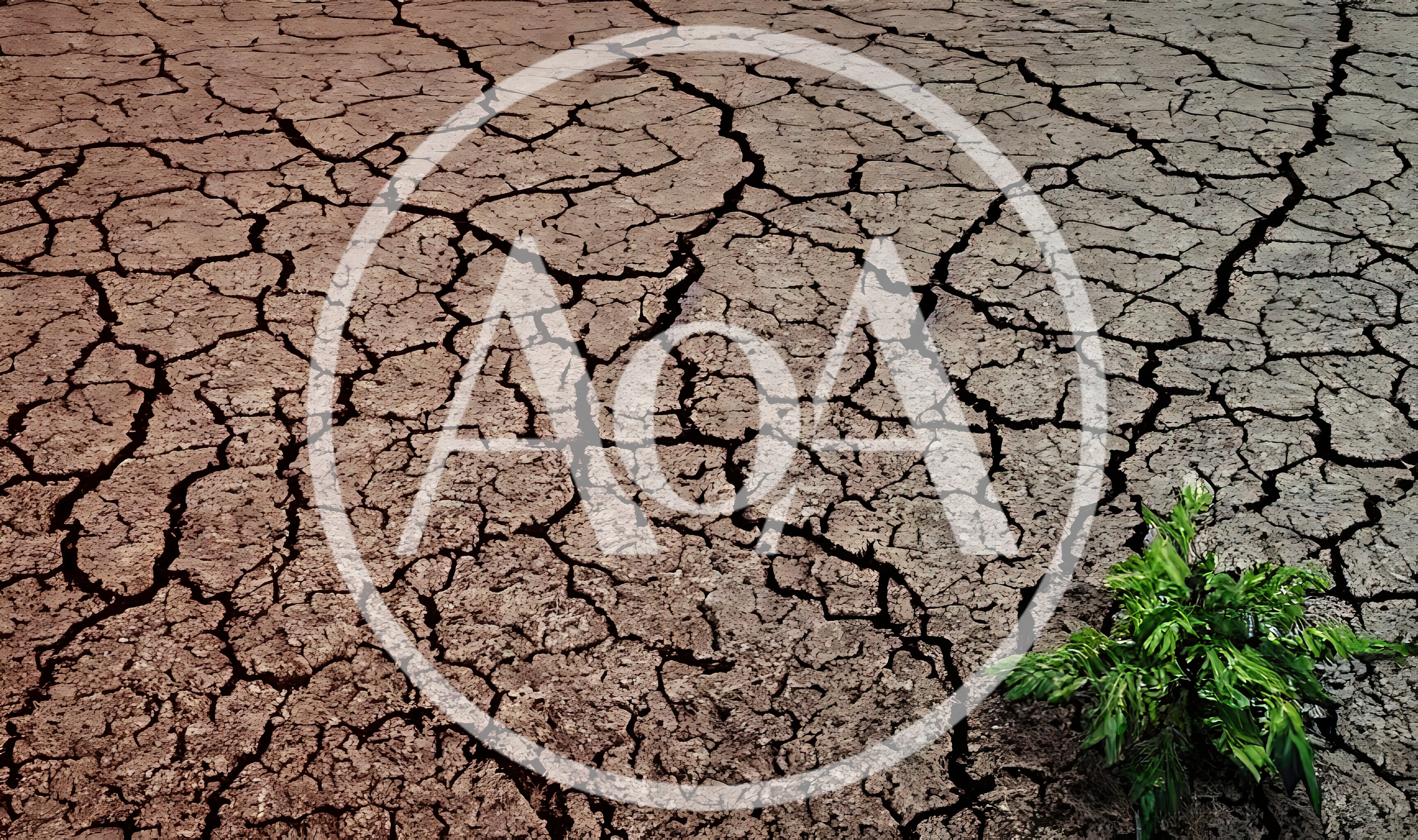 Small Green Plant Growing In Cracked Dry Earth